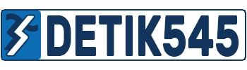 DETIK545